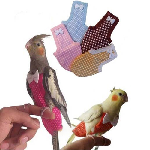 پوشک عروس هلندی
