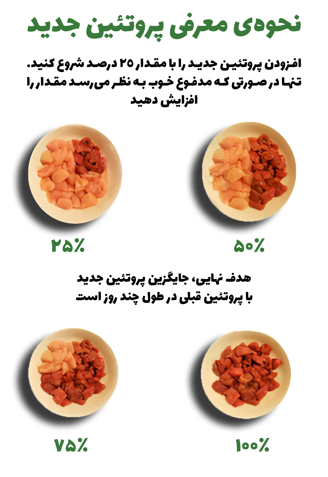 رژیم خام شکار سگ